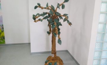 W Y N I K I  I G M I N N E G O  K O N K U R S U  E K O L O G I C Z N E G O