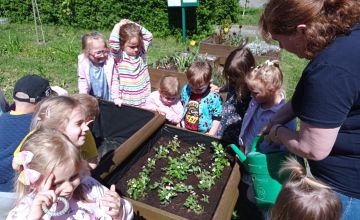 Od nasiona do rośliny - w naszym ogrodzie przedszkolnym