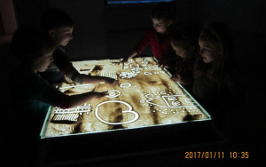 Tygryski w Muzeum Górnośląskim 