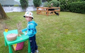 Motylki (10)