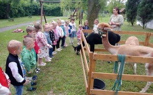 Motylki (5)