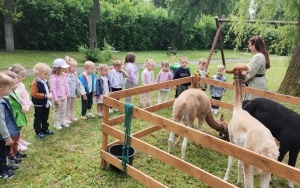 Mama, tata i ja (3)