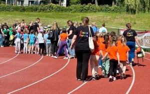 Tygryski (11)