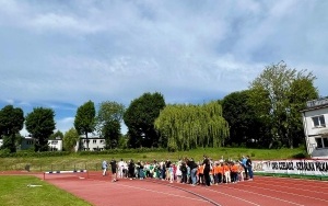 Tygryski (12)