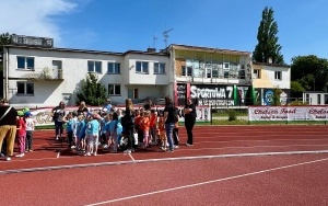 Tygryski (13)