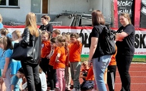 Tygryski (14)
