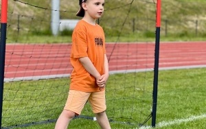 Tygryski (1)