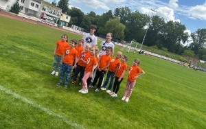 Tygryski (12)