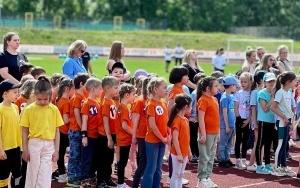 Tygryski (13)
