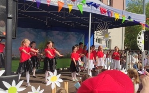 Tygryski (3)
