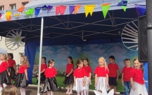 Tygryski (8)