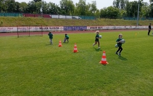 Pszczółki (4)