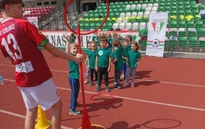 Pszczółki (5)