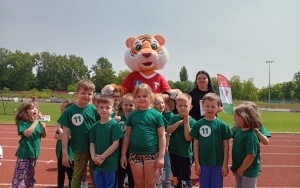 Pszczółki (5)