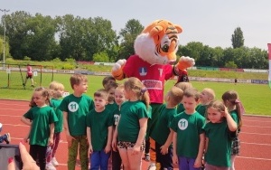 Pszczółki (4)