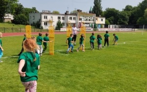Pszczółki (6)
