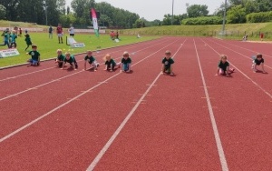 Pszczółki (7)