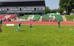 Pszczółki (10)