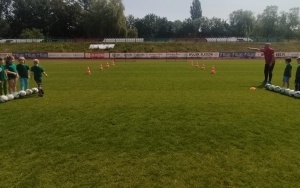 Pszczółki (16)