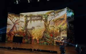 Safari (6)
