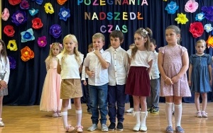 Tygryski (3)