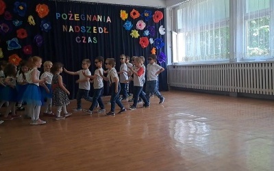 Pszczółki (19)