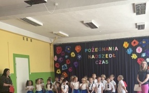 Pszczółki (5)