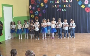 Pszczółki (6)