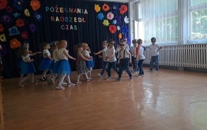 Pszczółki (10)