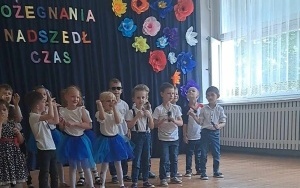 Pszczółki (11)