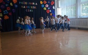 Pszczółki (12)