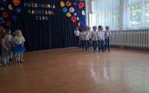 Pszczółki (16)