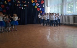 Pszczółki (8)