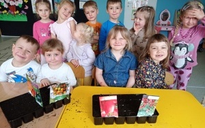 Motylki (1)