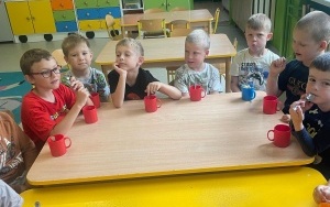 Sałatka owocowa (7)