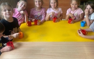 Sałatka owocowa (10)