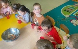 Sałatka owocowa (11)