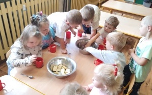 Sałatka owocowa (4)
