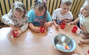 Sałatka owocowa (5)