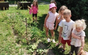 W naszym ogrodzie (3)