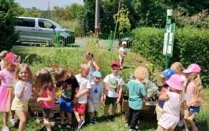 W naszym ogrodzie (4)