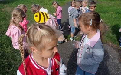 Pszczółki (5)