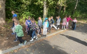 Sprzątanie Świata (4)