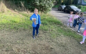 Sprzątanie Świata (5)