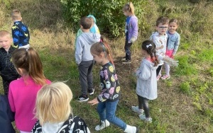 Sprzątanie Świata (7)