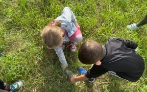 Sprzątanie Świata (10)