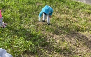 Sprzątanie Świata (1)