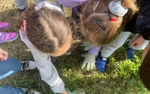 Sprzątanie Świata (3)