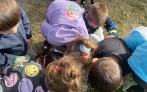 Sprzątanie Świata (4)