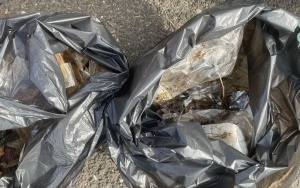 Sprzątanie Świata (7)